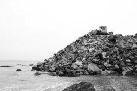 陸源污染 陸源污染