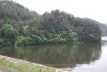 陝西漢中大熊貓自然保護區