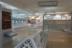 位於示範園內的蝴蝶館