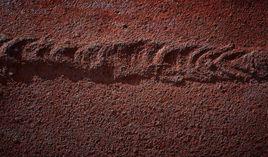 腐蝕[化學專業名詞]