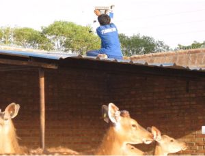 九鹿鹿場 九鹿鹿場