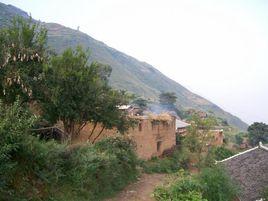 菜園子村 菜園子村