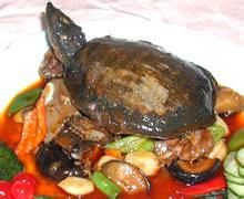 黿魚八寶 黿魚八寶