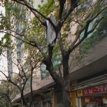 大圍正街 大圍正街