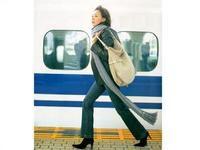 卡瑞爾公式 卡瑞爾公式