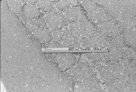 路面龜裂 路面龜裂