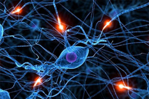 LT生物反饋療法 LT生物反饋療法