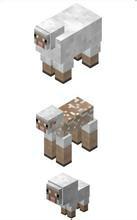 羊[minecraft中的生物]