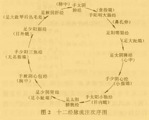 十二經脈流注次序