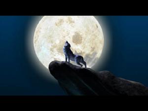 《龍狼傳破凰之路》