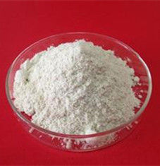 木聚糖酶 木聚糖酶