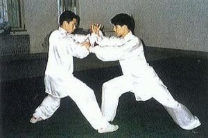 太極散手 太極散手