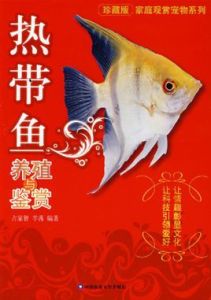 熱帶魚養殖與鑑賞 熱帶魚養殖與鑑賞
