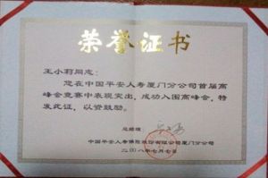 高峰會入圍證書