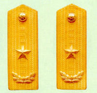 武警少將常服肩章(1993～2007)