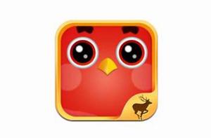 鳥抱抱免費版