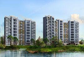 龍泊聖地 龍泊聖地