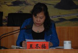 王冬梅[雲南省曲靖市羅平縣副縣長]