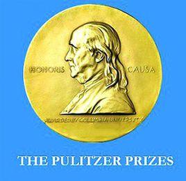 普利茲公共服務獎 普利茲公共服務獎