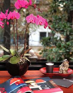 （圖）經典的“碳中和”房間