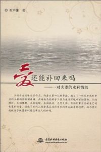 愛還能補回來嗎:一對夫妻的水利情結 愛還能補回來嗎:一對夫妻的水利情結