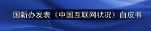 《中國網際網路狀況》 《中國網際網路狀況》