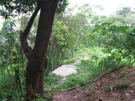 燕嶺公園 燕嶺公園