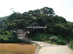 玉水村[廣東省梅州市梅江區城北鎮下轄村]