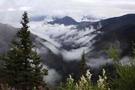 格西溝國家級自然保護區 格西溝國家級自然保護區