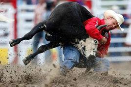 卡爾加里牛仔節 卡爾加里牛仔節