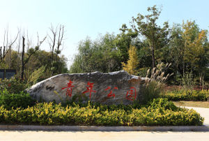 鹽城青年公園 鹽城青年公園