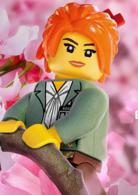 樂高忍者[2016年動畫電影]