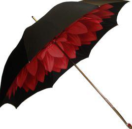 umbrella[英文單詞]