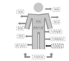 人體熱平衡 人體熱平衡