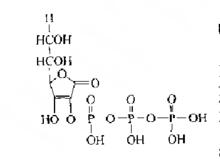 抗壞血酸多聚磷酸酯