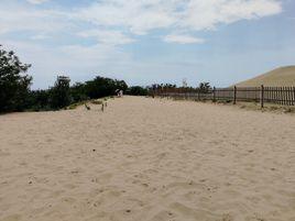 沙雕海洋樂園 沙雕海洋樂園