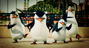 馬達加斯加企鵝