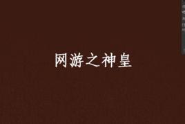 網遊之神皇 網遊之神皇