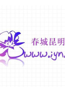 昆明論壇 昆明論壇