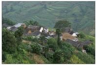 祝家廠自然村 祝家廠自然村