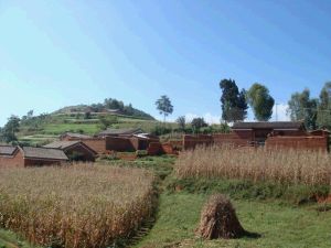 新場自然村 新場自然村