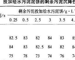剩餘污泥 剩餘污泥