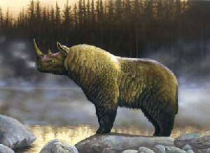 第四紀大冰期 第四紀大冰期