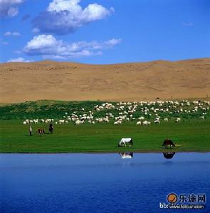 青海青海湖國家級自然保護區