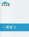 一雁孤飛