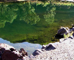 首特仙台旅遊區 首特仙台旅遊區