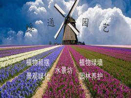 上海綠通花卉園藝有限公司 上海綠通花卉園藝有限公司