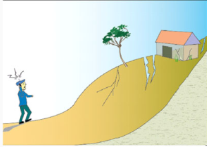 山坡出現裂縫往往是滑坡徵兆，應及時報告