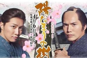 向陽之樹[2012年日本市原隼人主演電視劇]