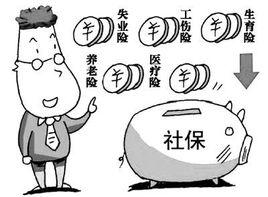 社保的構成 社保的構成
